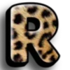 🐆