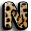 🐆