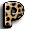🐆