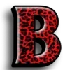 🐆