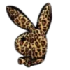 🐆