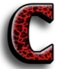 🐆