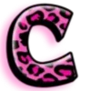 🐆