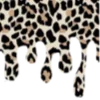 🐆