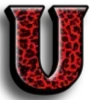 🐆