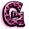 🐆