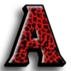 🐆