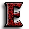 🐆