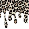 🐆