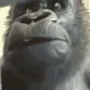 😱