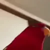 🤨