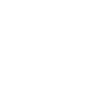 🔒