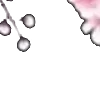 ⭐