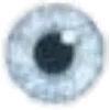 👁