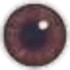 👁