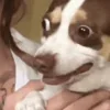😱