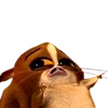 😩
