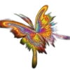 🦋