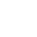 🌐