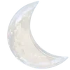 🌙