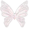 🦋