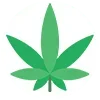 🌿