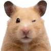 🐹