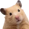 🐹