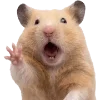🐹