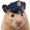 🐹