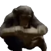 🐒