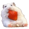 🐹