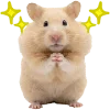 🐹