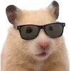 🐹