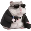 🐹