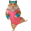 🐹