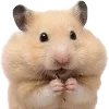 🐹