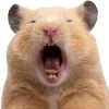 🐹