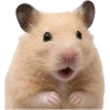 🐹