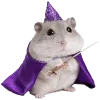 🐹