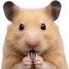 🐹