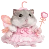 🐹