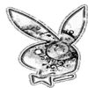🐰