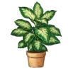 🌿