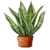 🌵