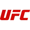 🥊