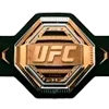🥊