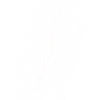 ☑️