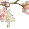 🌸