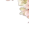 🌸